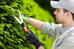 kertgondoz�s Balatonalm�di