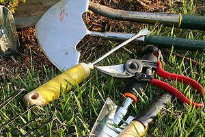 kertgondoz�s Balatonalm�di